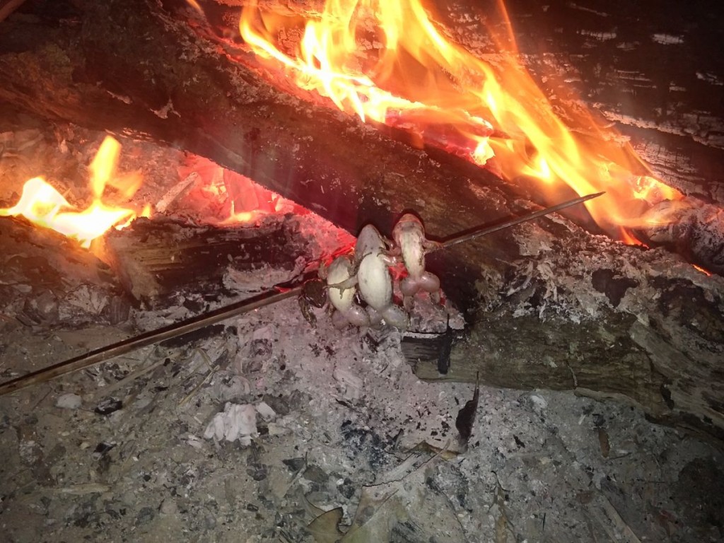 Ranas asadas al fuego